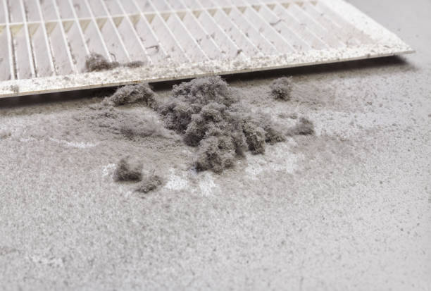 Affordable HVAC Duct Cleaning in IN