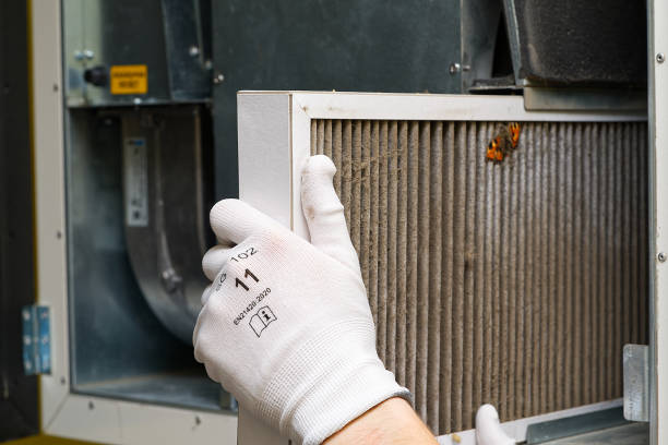 Best Air Duct Sanitizing Services  in Greensburg, IN