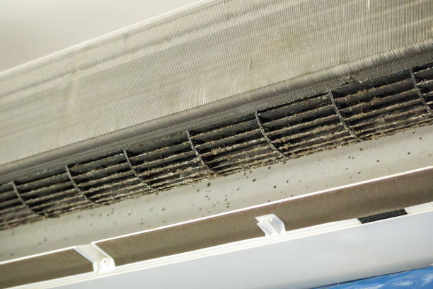 Best Local Air Duct Cleaning Services  in Greensburg, IN